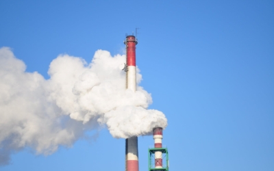 Why minimising the greenhouse gas emissions of every business is important